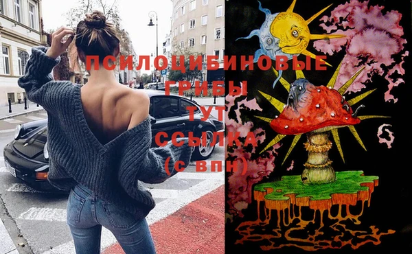 apvp Магас