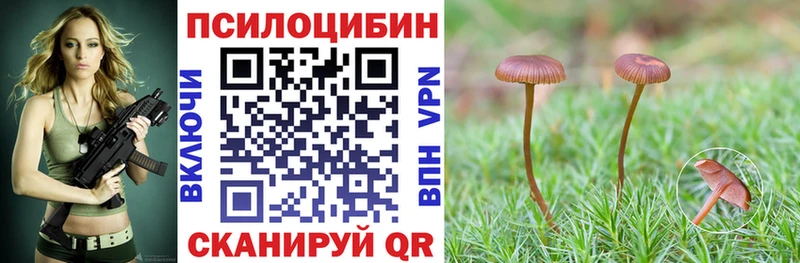 Псилоцибиновые грибы Magic Shrooms  Курчатов 