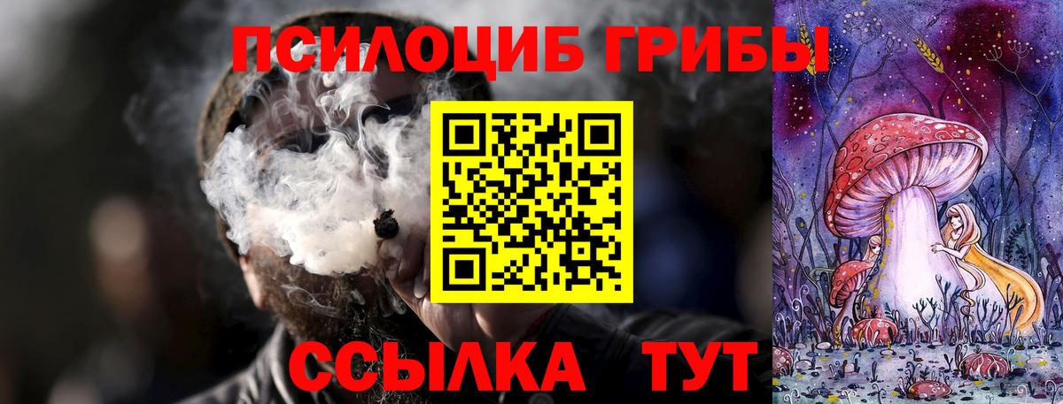 Галлюциногенные грибы MAGIC MUSHROOMS  Вход с VPN  Курчатов 